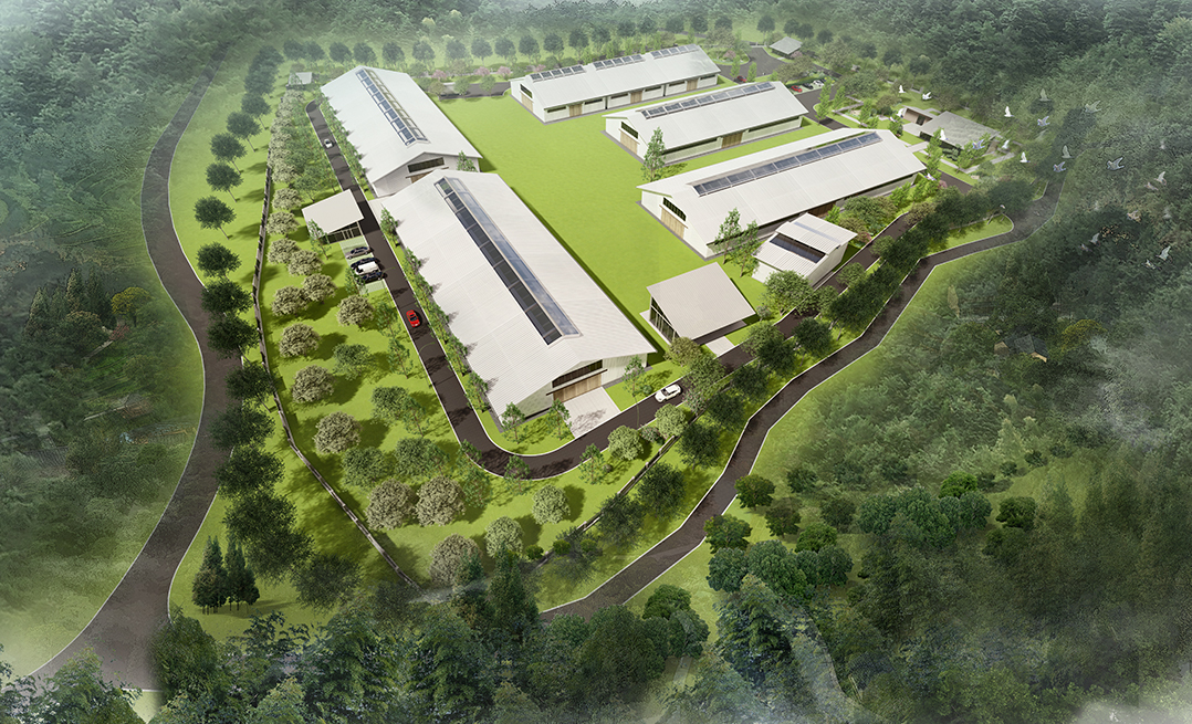 四月天肉牛生態(tài)養(yǎng)殖基地